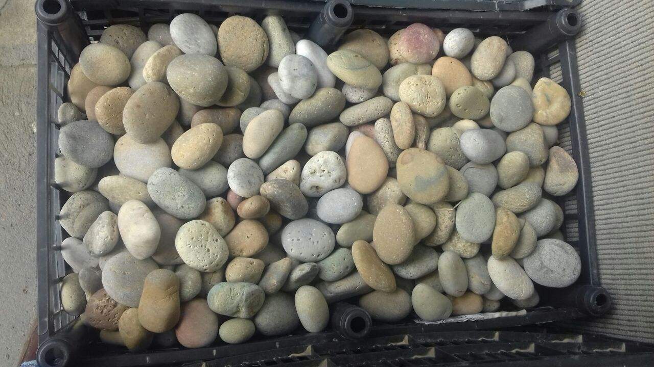 Buff-Mexican-Beach-Pebbles-Color
