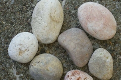 Mexican-Buff-Color-Pebble-Size-1in-to-2in