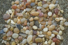 Coral-Sea-Pebbles-Size-half-inch-Bulk