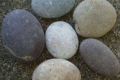 Mexican-Mix-Color-Pebble-Size-1in-to-2in