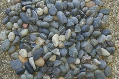 Mix-Color-Mexican-Beach-Pebbles-Size-1-quarter-to-half-inch