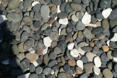 Seashell-Mix-Color-Pebbles-Size-7-eights-002