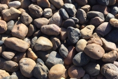 Sonora-Shine-Pebbles-in-Bulk