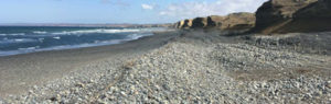 Wylie-Decorative-Rocks-Supplier-Mexican-Beach-Pebbles-Wholesale-in-Dallas-Forth-Worth-Texas-Contact_us